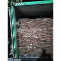 jual chestnut segar yang enak